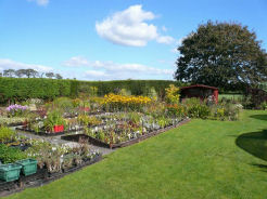 nursery.jpg - 22052 Bytes