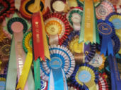 rosettes.jpg - 28404 Bytes