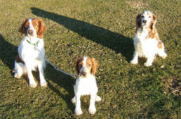 threegenerations.JPG - 34347 Bytes